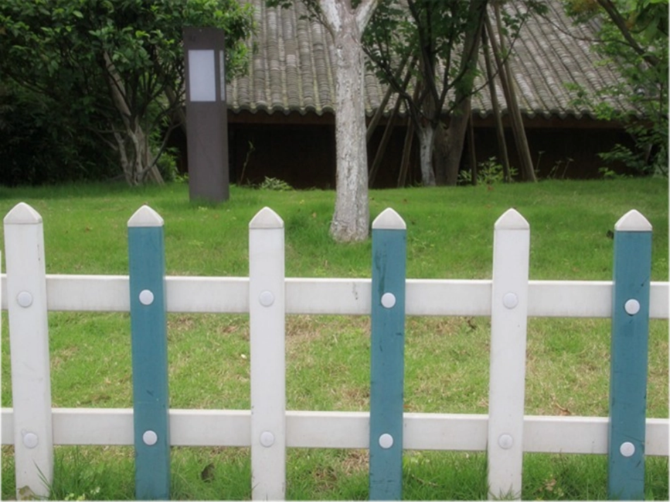 《大班数学看看排排》_第2页