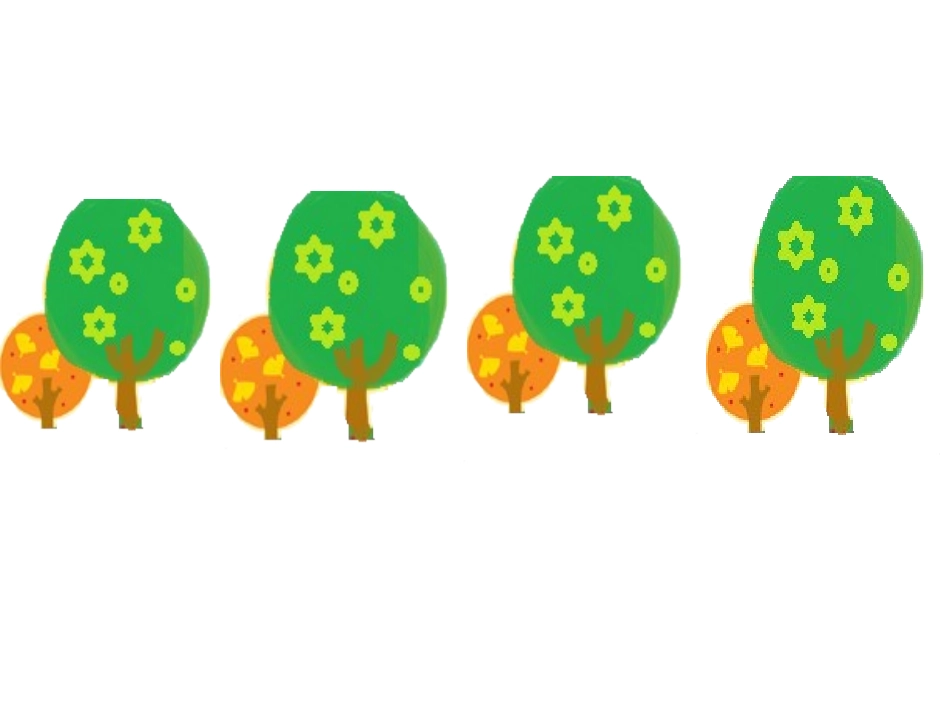 《大班数学看看排排》_第3页