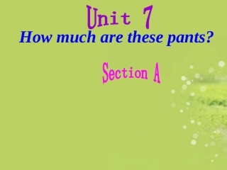 七年级英语上册_Unit7_How_much_are_these_socks课件_人教新目标版