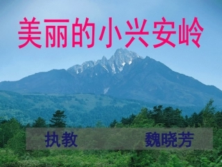 《美丽的小兴安岭》PPT (3)