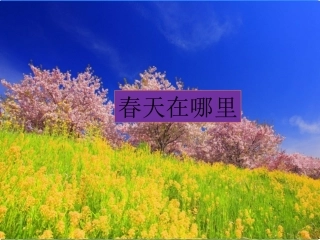 《春天在哪里》课件