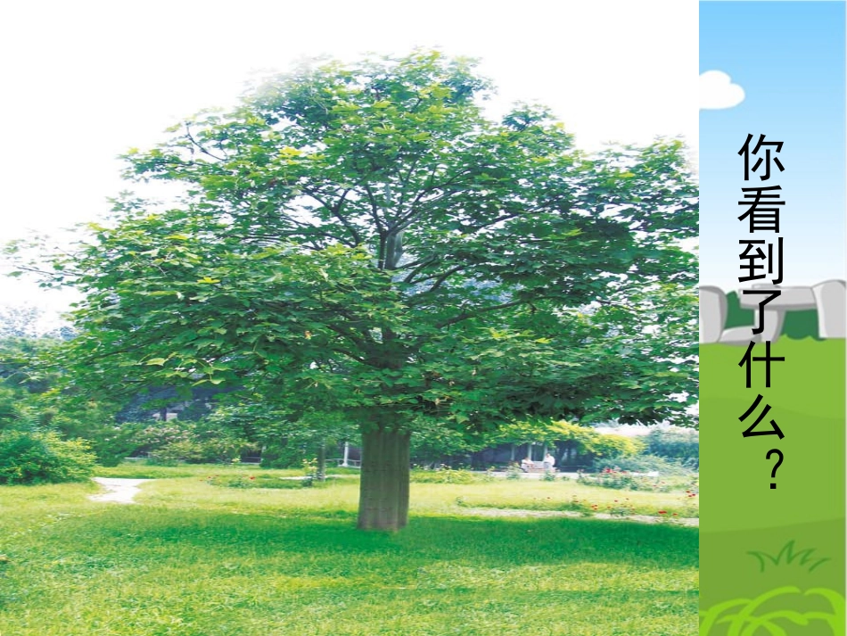 《我看到了什么》教学课件2_第2页