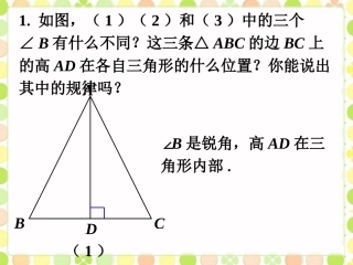 三角形的高、中线与角平分线1
