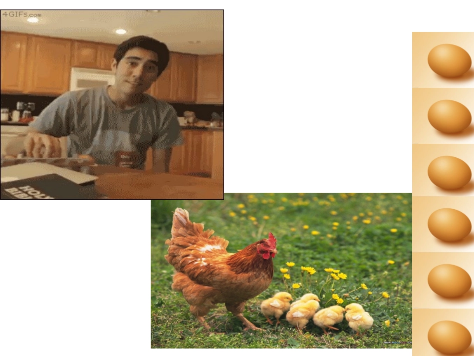 鸟的生殖和发育 (2)_第2页