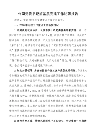 公司党委书记抓基层党建工作述职报告