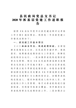 县民政局党总支书记2020年抓基层党建工作述职报告