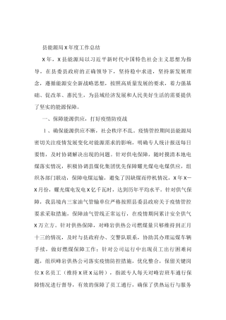 县能源局X年度工作总结