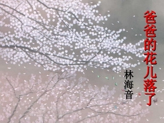 爸爸的花儿落了