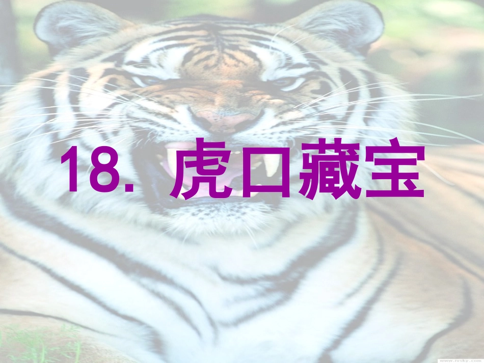 五下《虎口藏宝》课件2_第1页