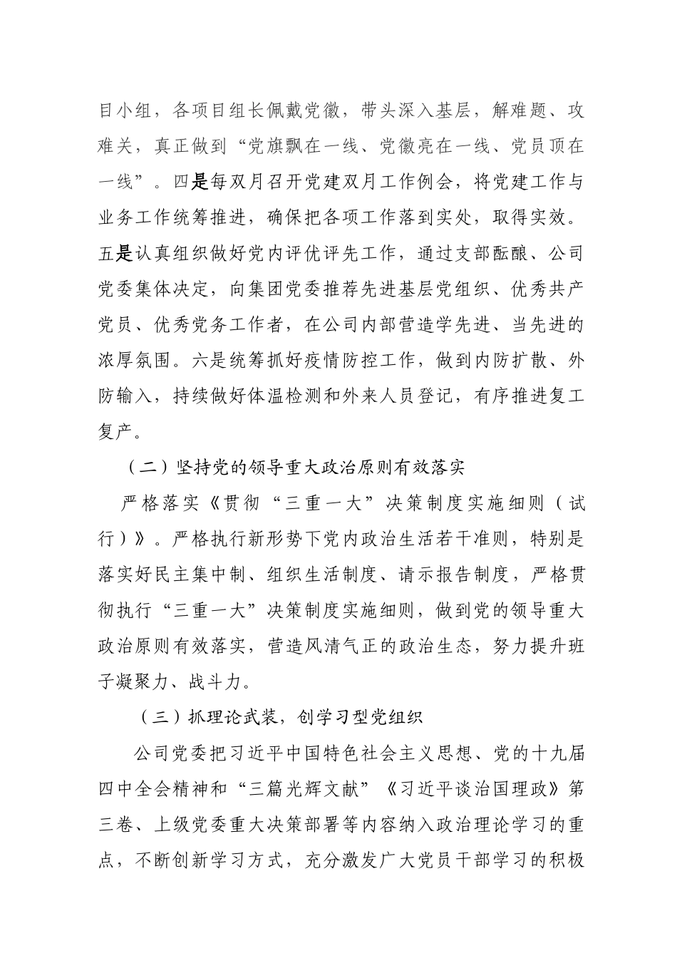 公司党委2020年度党建工作总结 (2)_第2页