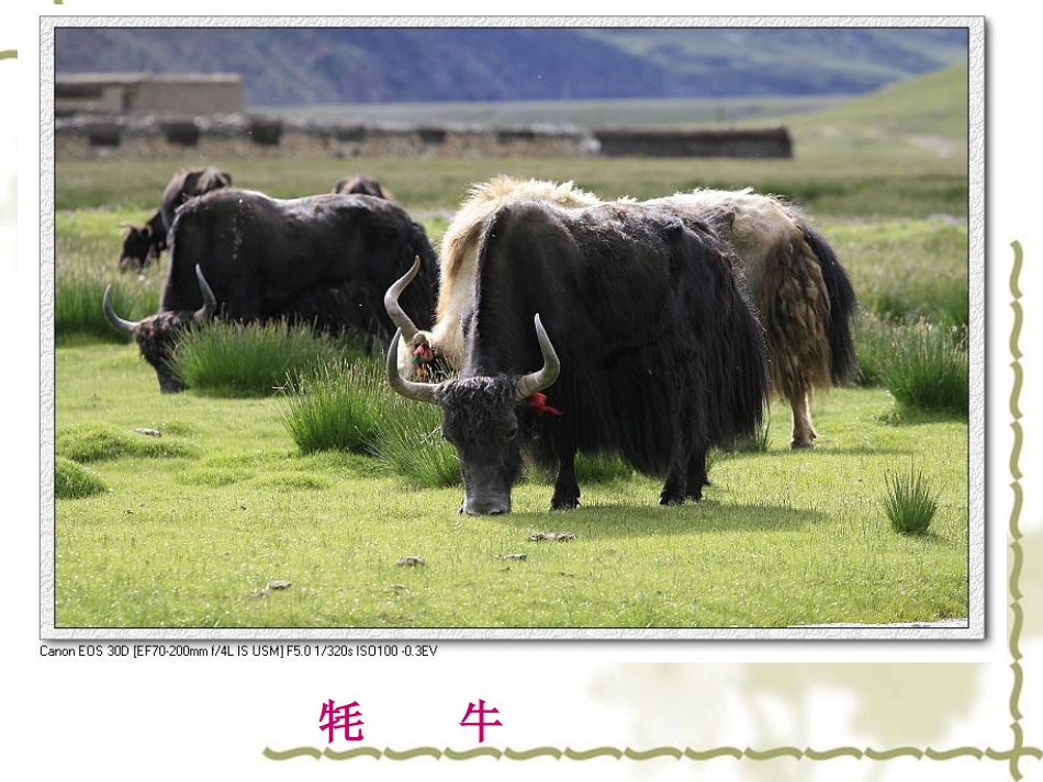 《雅鲁藏布大峡谷》课件(1)_第2页