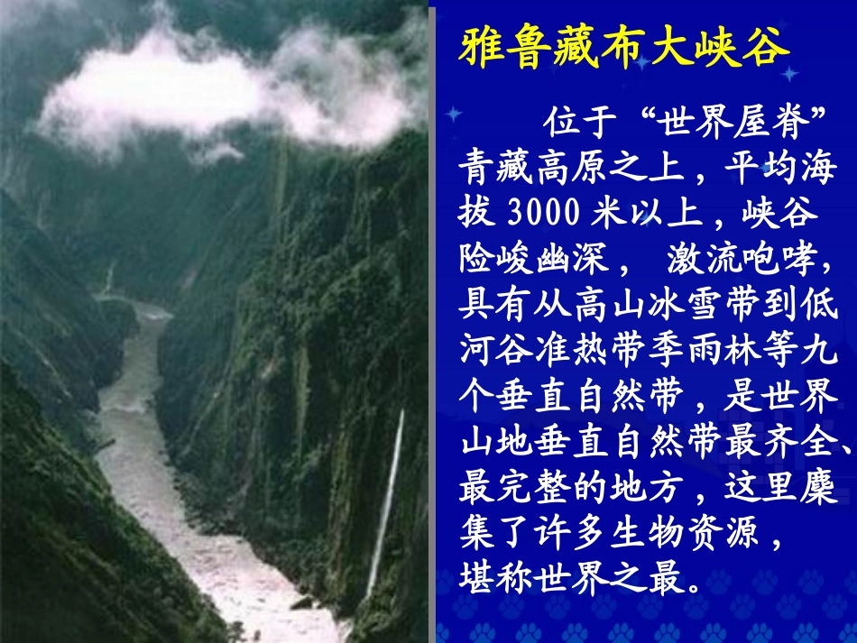 《雅鲁藏布大峡谷》教学课件1_第2页