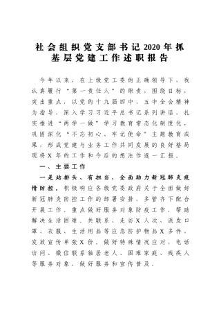 社会组织党支部书记2020年抓基层党建工作述职报告