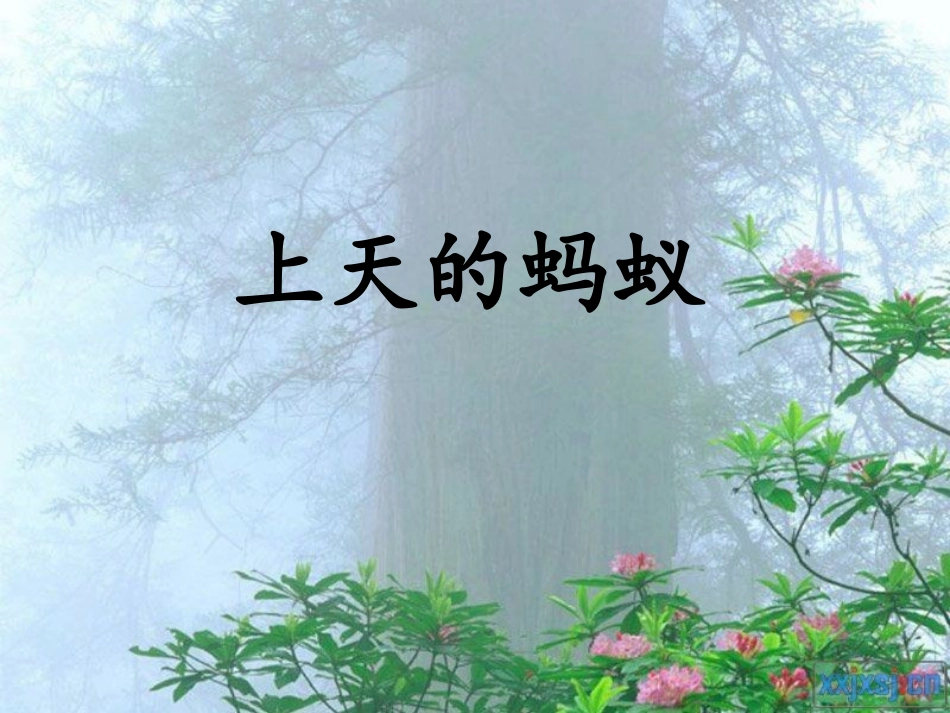 060009612017海淀区小学骨干教师2坊海淀区玉泉小学刘荣红_第3页