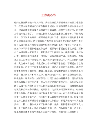 工作决心书 