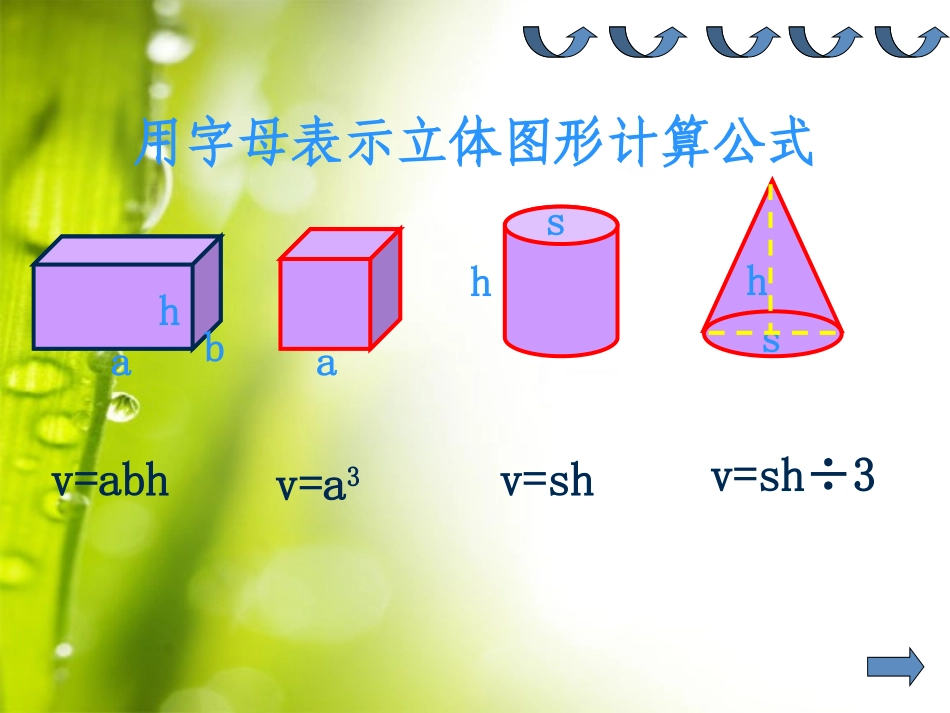 《式与方程的整理与复习》课件(1)2_第2页