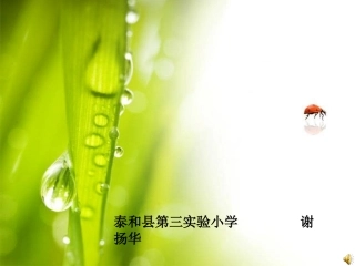 《式与方程的整理与复习》课件(1)2