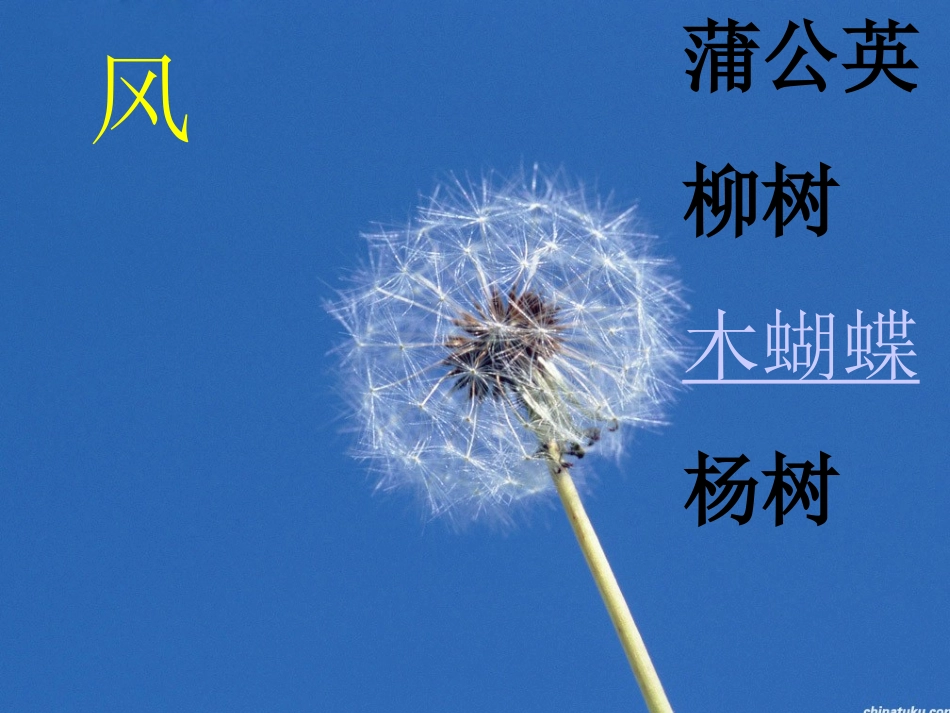 植物妈妈有办法 (2)_第2页