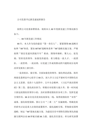 公司党委书记抓党建述职报告