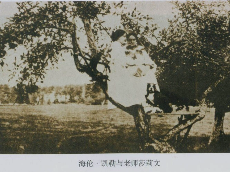 《再塑生命的人》教学课件_第2页