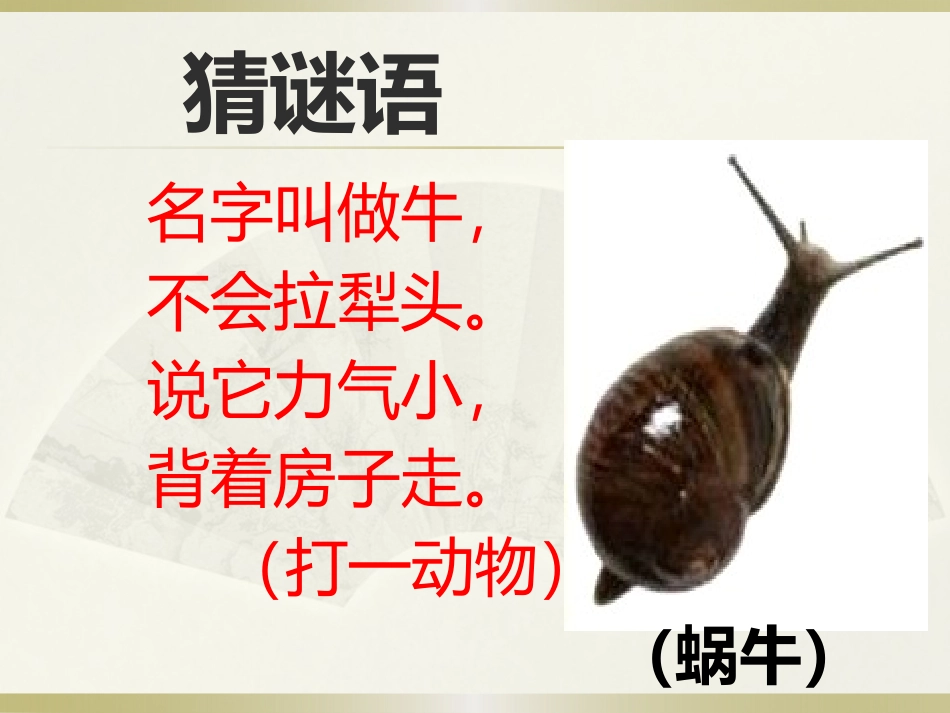 《小蜗牛》教学课件2_第2页