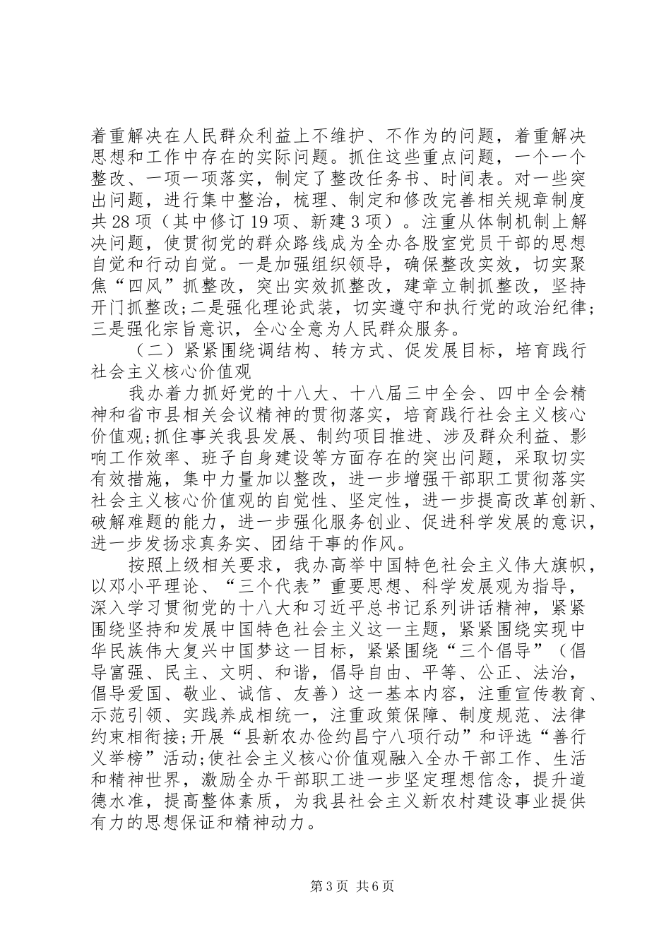 XX年新农办党组党建工作总结_第3页