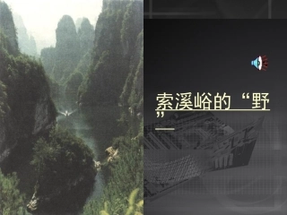 索溪峪的“野”