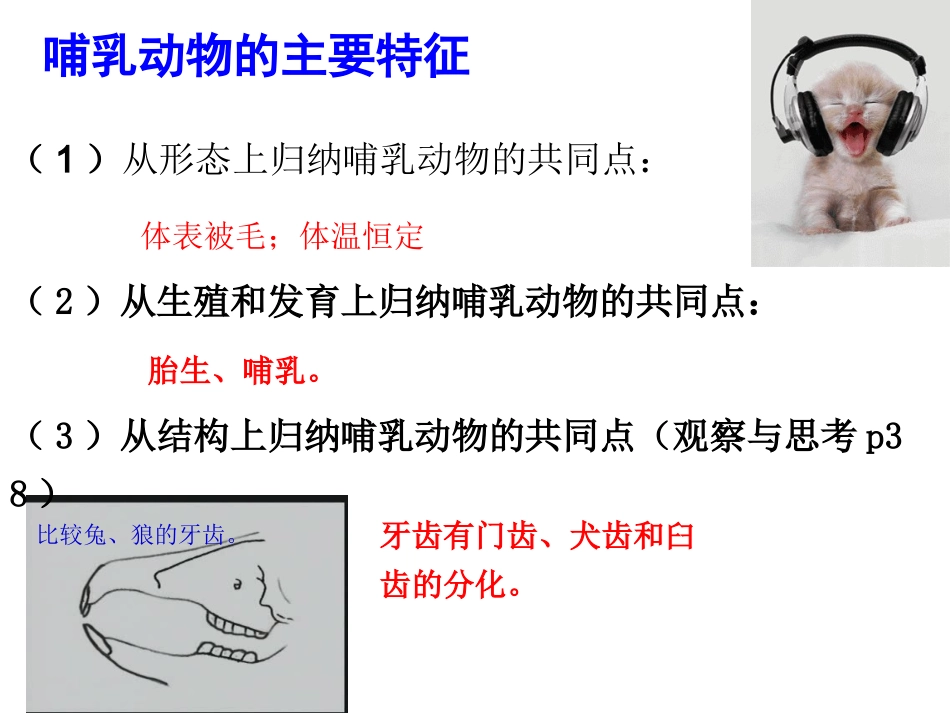八年级上册《第一章-第七节-哺乳动物》_第2页