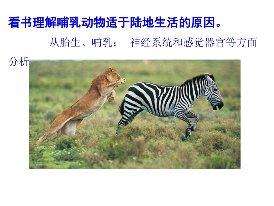 八年级上册《第一章-第七节-哺乳动物》_第3页