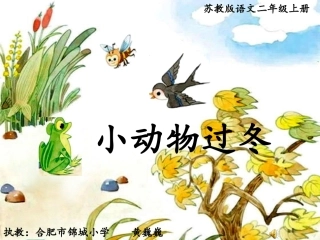 黄巍巍小动物过冬