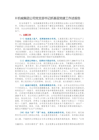 公司党支部书记抓基层党建工作述报告