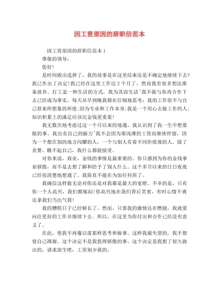 因工资原因的辞职信范本 