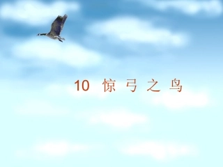 《惊弓之鸟》 (2)