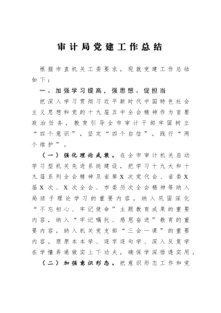 审计局党建工作总结