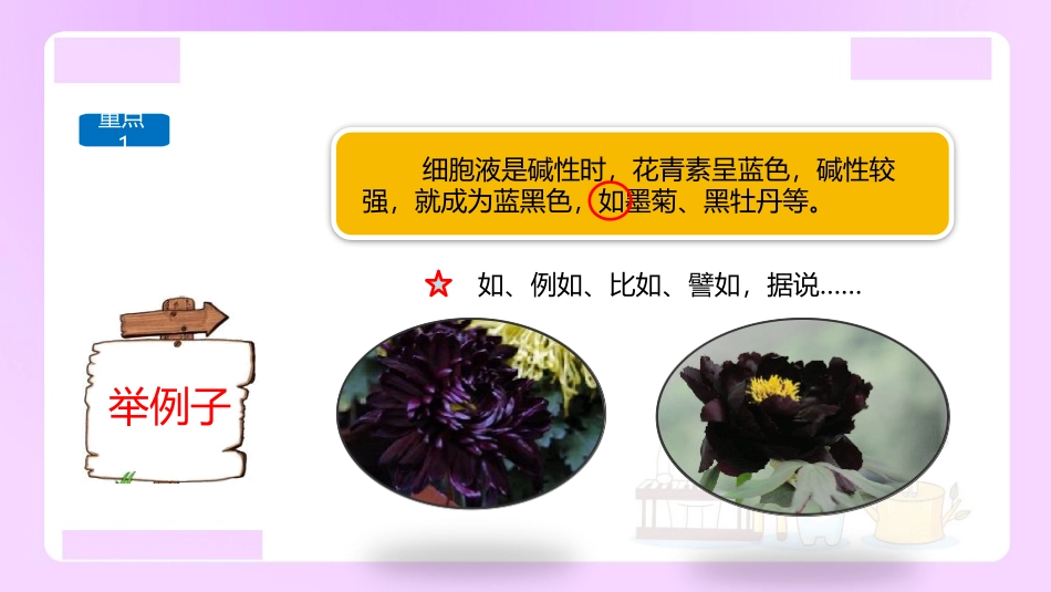 【精品】小升初语文知识点精讲说明文的说明方法总结_第3页