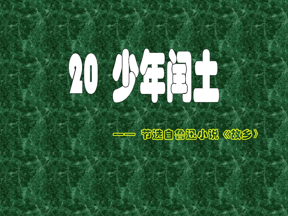 《少年闰土》课堂演示PPT课件_第1页
