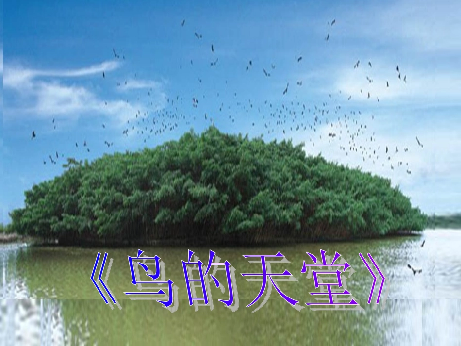《鸟的天堂》课件 (10)_第1页