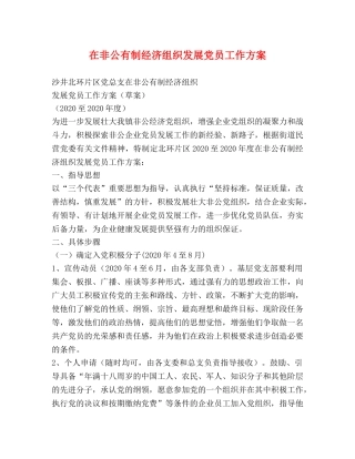 在非公有制经济组织发展党员工作方案 