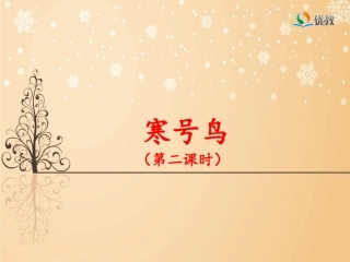 《寒号鸟》名师课件（第二课时）