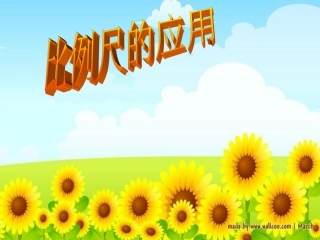 比例尺 (2)
