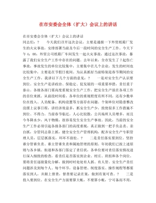 在市安委会全体（扩大）会议上的讲话2 