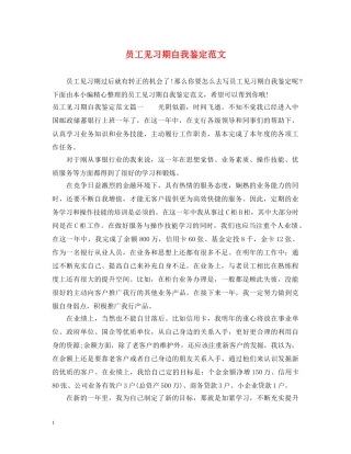 员工见习期自我鉴定范文 