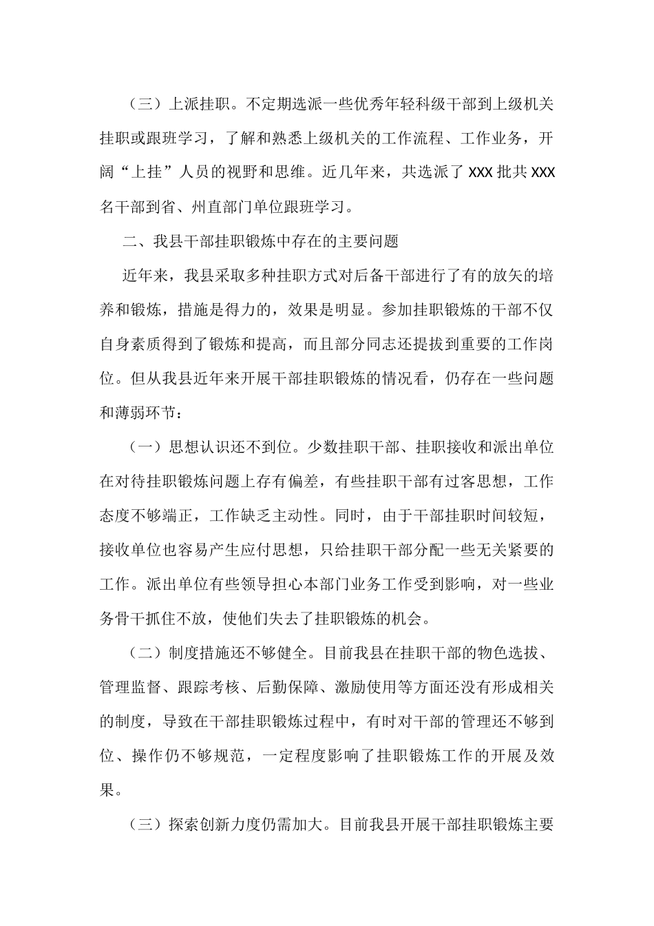 挂职干部工作调研报告_第2页