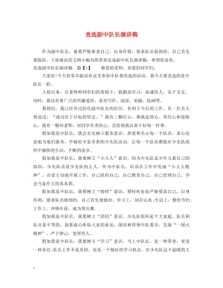 竞选副中队长演讲稿 