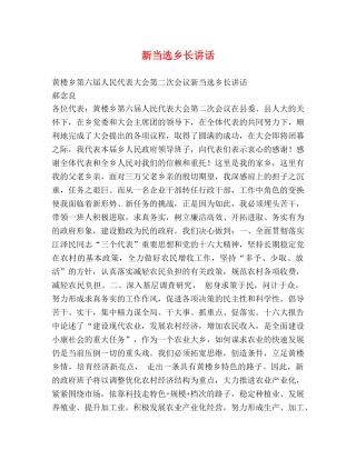 新当选乡长讲话 