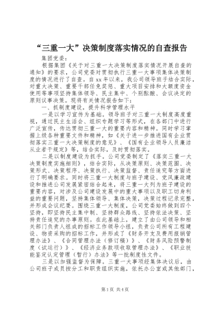 “三重一大”决策制度落实情况的自查报告