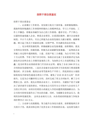 挂职干部自我鉴定 