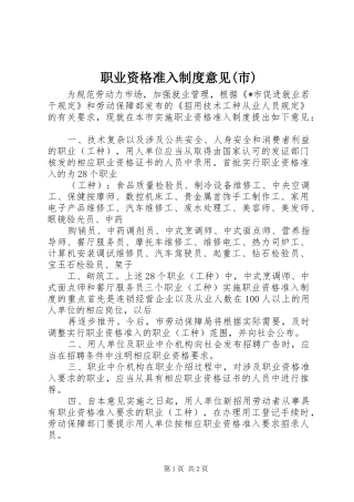 职业资格准入制度意见(市)