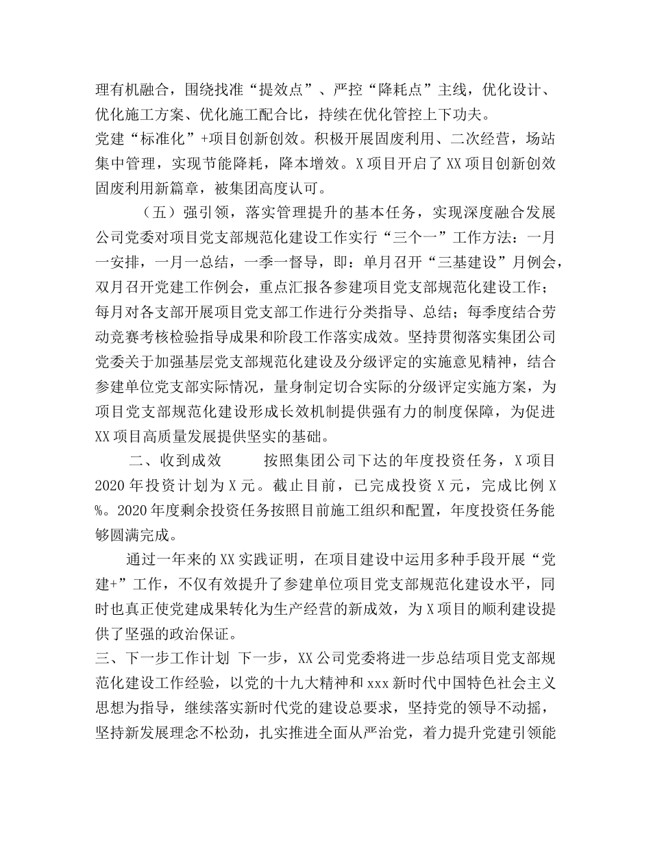 强化项目党支部规范化建设,党建交流发言 _第3页