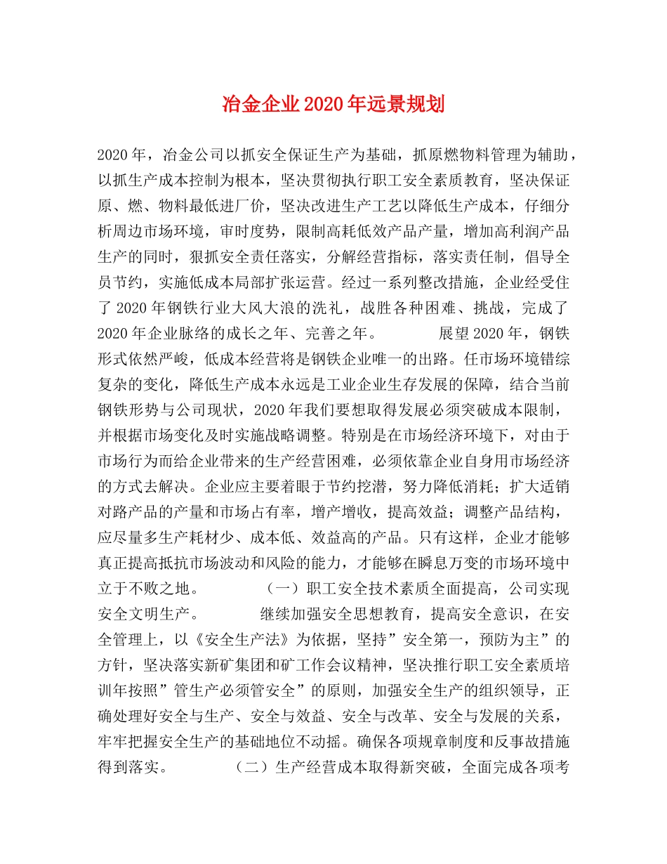 冶金企业2024年远景规划 _第1页